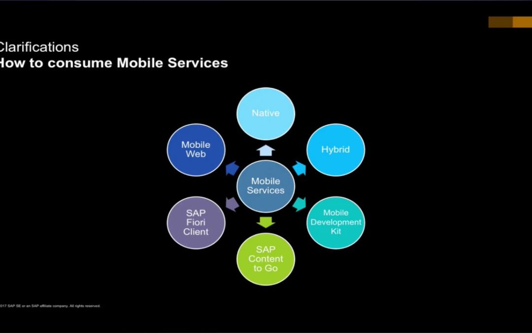 SAP Cloud Platform Mobile Services –  Mobile Development Options