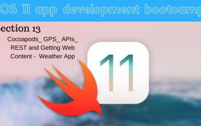 iOS 11 app development bootcamp (096 What is JSON and How to Parse it)