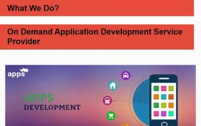 Top On Demand App Development Service Provider