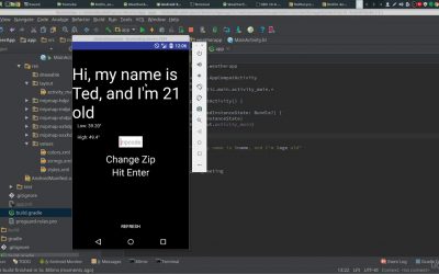 Kotlin for Android Development : Develop an App with Kotlin : Strings