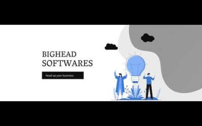 Introduction to bighead Softwares | Website Development | Application Development(android & iOS).
