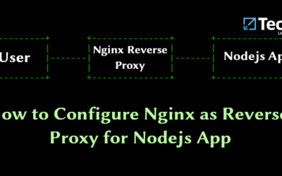 How to Configure Nginx as Reverse Proxy for Nodejs App