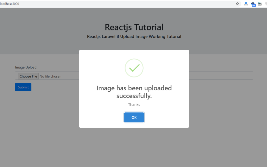Reactjs Laravel 8 Image Upload Working Tutorial