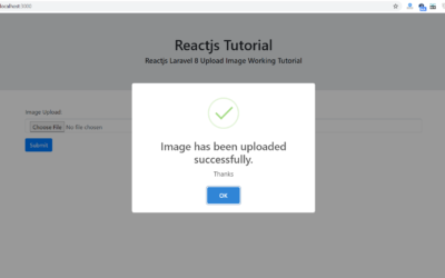 Reactjs Laravel 8 Image Upload Working Tutorial