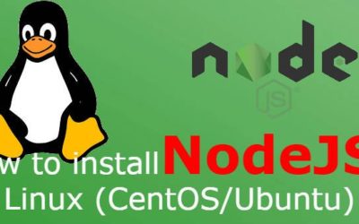 How to install NodeJS on Linux (CentOS/Ubuntu) – LinuxTechLab