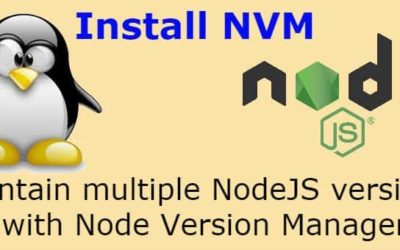 Install NVM on Linux: Maintain multiple NodeJS versions with Node Version Manager – LinuxTechLab