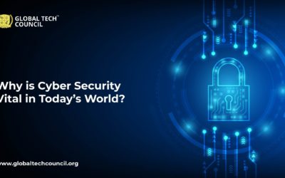 Why is Cyber Security Vital in Today’s World?